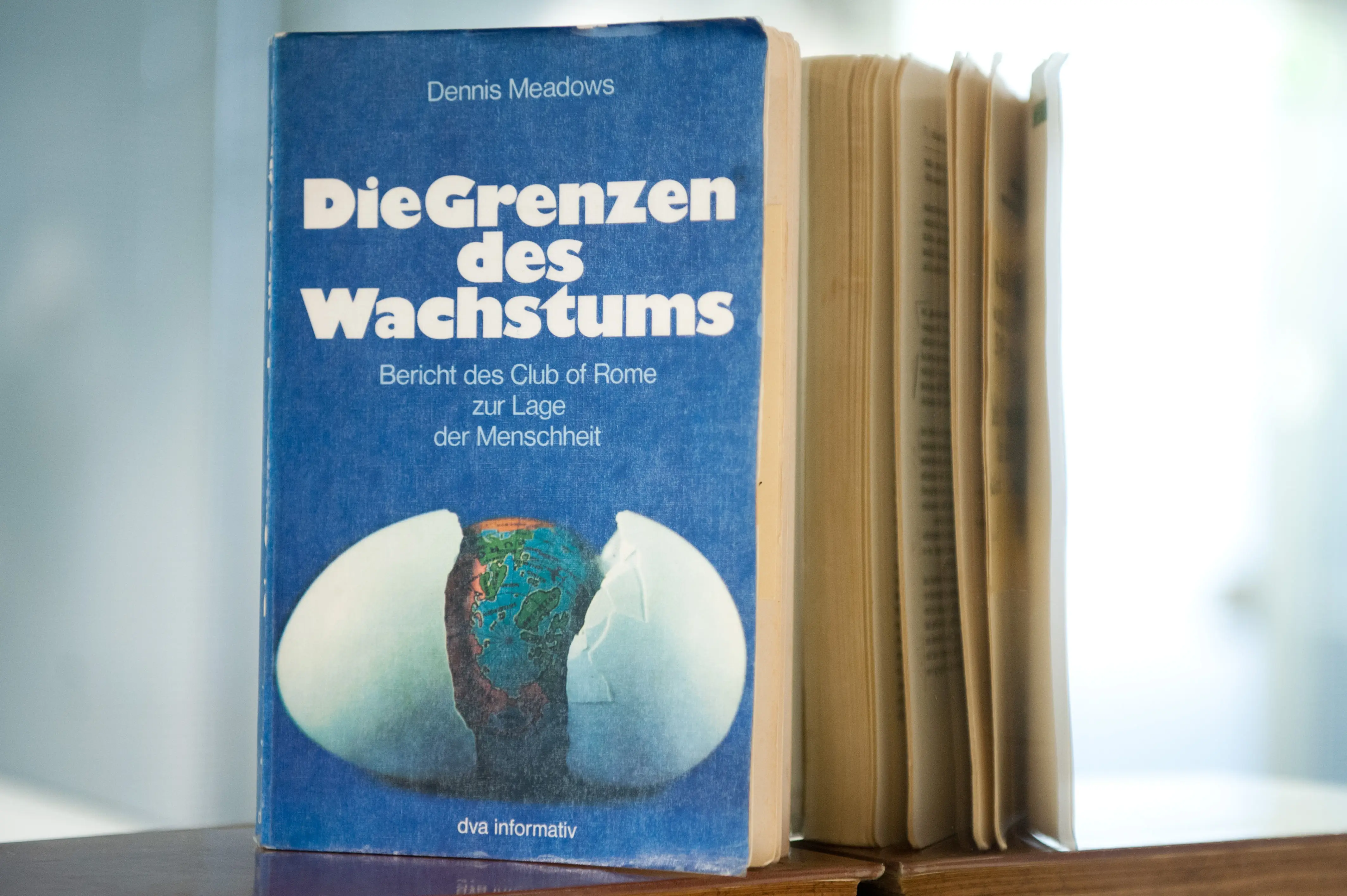 Zwei identische Bücher mit dem Titel "Die Grenzen des Wachstums" | picture alliance / dpa